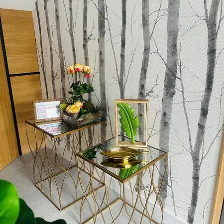 Lotus * Caldas De Reis