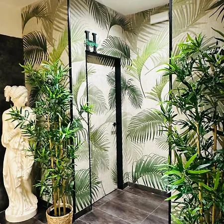 Lotus Hotel Caldas De Reis