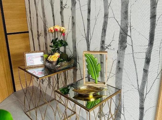 Lotus * Caldas De Reis